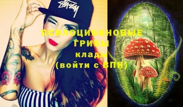 дурь Балахна