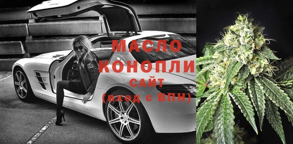 индика Беломорск