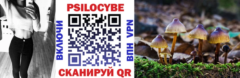 где продают   Белый  MEGA вход  Псилоцибиновые грибы Psilocybine cubensis 